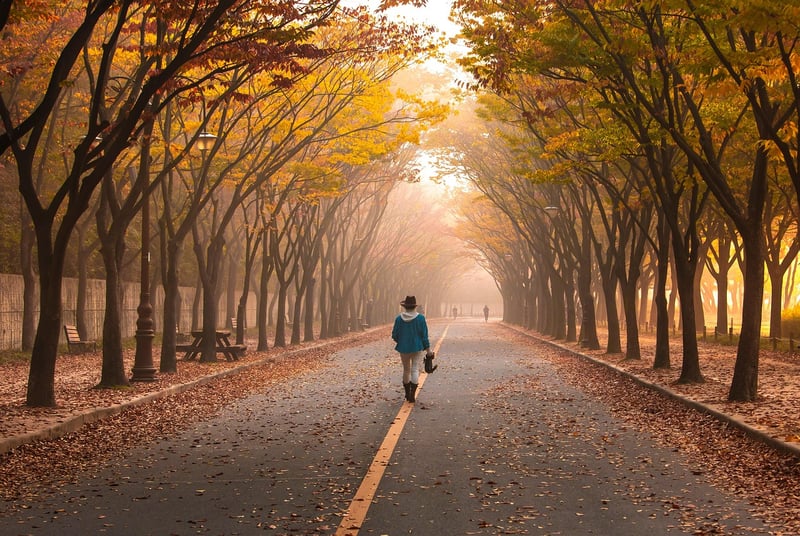 Mindful Walking Image